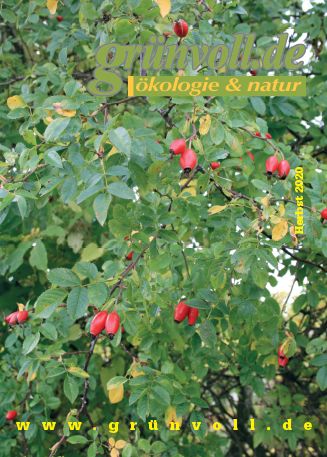 Das Magazin grünvoll.de - ökologie &amp; natur - Herbst 2020 - gruenvoll.de/aktuelle-ausga…