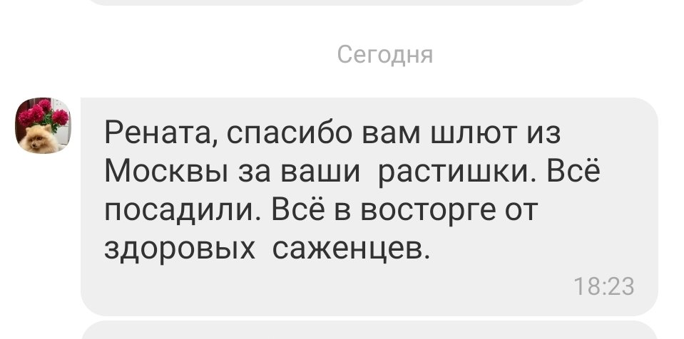 Нет слов....🙊