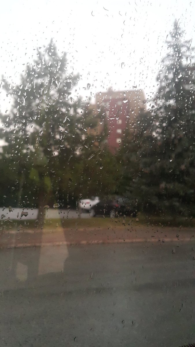 Ankara'da #sonbahar içim içime sığmıyor 🤗
En sevdiğim bu havada alacaksın kahveni açacaksın perdeleri
Hastasıyım bu gri Ankara' nın