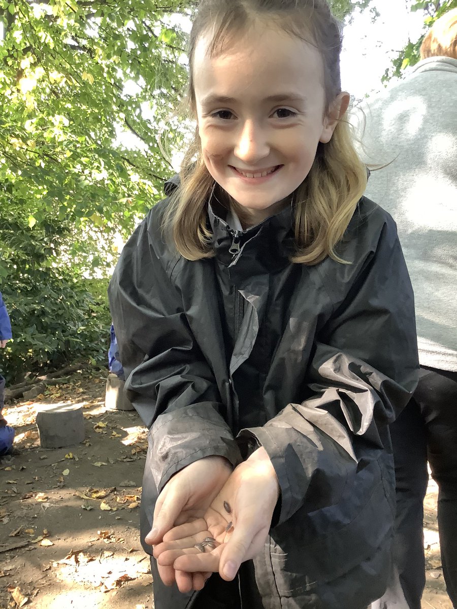 St. Paul's CE Primary School (@stpaulsbolton) on Twitter photo Y6 starting their day in the Wild Wood with a Nimbus 2000 and woodlice👍🏽 <a href="/ForestSchools/">Forest Schools</a> <a href="/ForestSchoolUK/">Forest Schools UK</a> @WoodlandTrust <a href="/nationaltrust/">National Trust</a> <a href="/ForestryEngland/">Forestry England</a> <a href="/Muddyfaces/">Muddy Faces</a> <a href="/HarryPotterFilm/">Harry Potter</a> <a href="/wizardingworld/">Wizarding World</a> <a href="/ForwardAs1Trust/">Forward As One C of E Multi Academy Trust</a> <a href="/purely_well/">Purely Wellbeing</a> <a href="/GrowYourMindset/">Grow Your Mindset</a> <a href="/HealthyMindUK/">Healthy Mind UK 🧠</a> Y6 starting their day in the Wild Wood with a Nimbus 2000 and woodlice👍🏽 <a href="/ForestSchools/">Forest Schools</a> <a href="/ForestSchoolUK/">Forest Schools UK</a> @WoodlandTrust <a href="/nationaltrust/">National Trust</a> <a href="/ForestryEngland/">Forestry England</a> <a href="/Muddyfaces/">Muddy Faces</a> <a href="/HarryPotterFilm/">Harry Potter</a> <a href="/wizardingworld/">Wizarding World</a> <a href="/ForwardAs1Trust/">Forward As One C of E Multi Academy Trust</a> <a href="/purely_well/">Purely Wellbeing</a> <a href="/GrowYourMindset/">Grow Your Mindset</a> <a href="/HealthyMindUK/">Healthy Mind UK 🧠</a>
