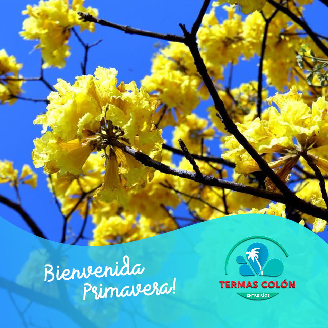 TermasColon's tweet photo. ¡¡Bienvenida Primavera!! 🌺🌹🌷🌼🌸 https://t.co/uMAJ6F3qwo