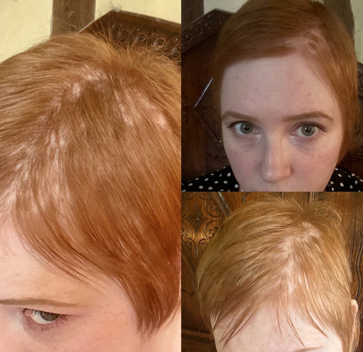 Elise Andrew tweet media