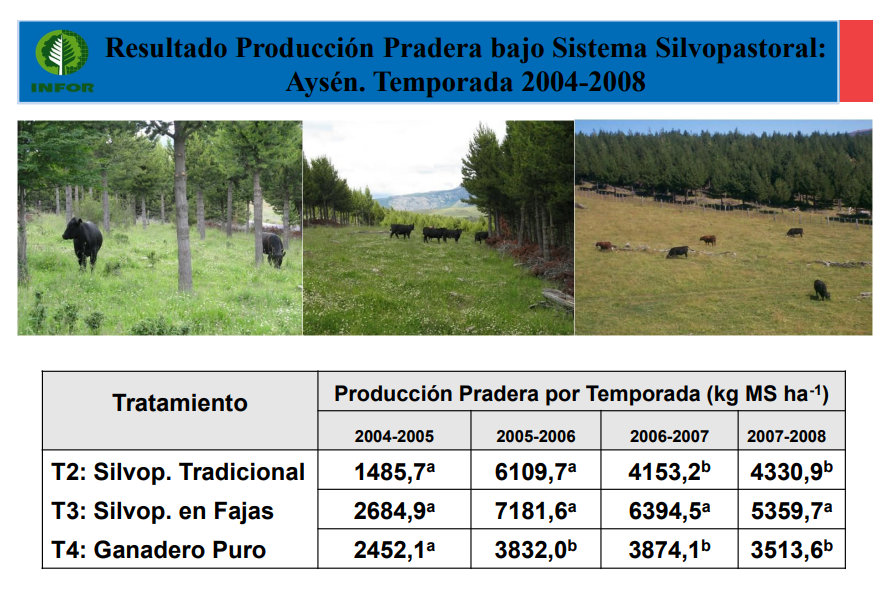 #EcologistaNoAnimalista tweet media