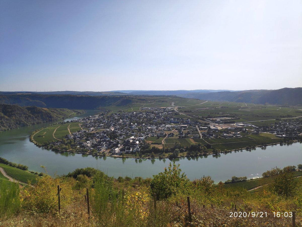SteffiJung6's tweet photo. Blick von der #Panoramastrasse auf die #Mosel Richtung #Piesport und #Minheim https://t.co/y6Y0y5fmyz