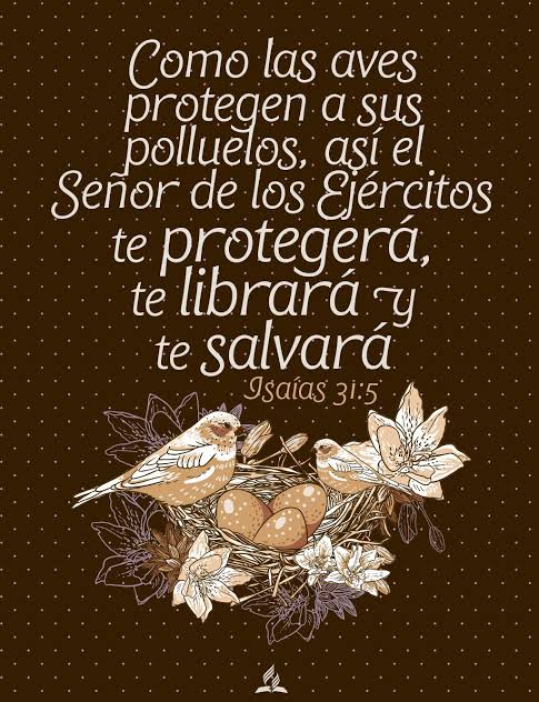 CBaner2020's tweet photo. #isaias31

Un Dios que Protege, libra y salva, ¡Así de maravilloso es nuestro Dios! https://t.co/HnRXaqnMpt