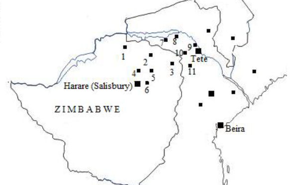 9/16 Communities of freed Chikunda armies developed across the Zambezia. They maintained their language, social ranks, dressing thus separating themselves from local Africans.A shared conscious ethnic identity which we now call Chikunda arose