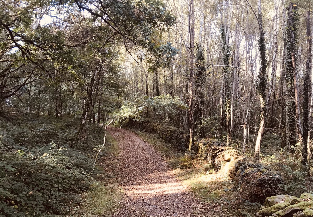 JasemCrimmins's tweet photo. It’s a warm one today. @visitwales (in a while) @VisitRCT @LoveTheValleys
#autumn #getoutside #mapOL166 #treforest https://t.co/tVmyfr6Yrn