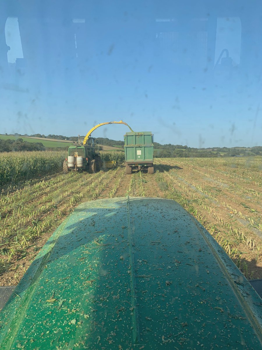 Came out of tractor driving retirement this evening, do miss the crack with the boys but wouldn’t want to be doing 120 hours a week of it.