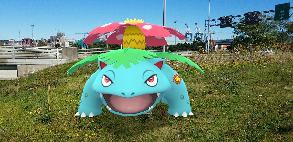 With Sprout the  #Venusaur being added to our Best  #PokemonGOBuddy club, I now have 2 of the original 3 Kanto starters (fully evolved) wearing their  #PokemonGOBestBuddy ribbons. Blaze the Charizard is our next focus, which should be soon! #PokemonGO  #GOSnapshot  #PokemonGOARplus