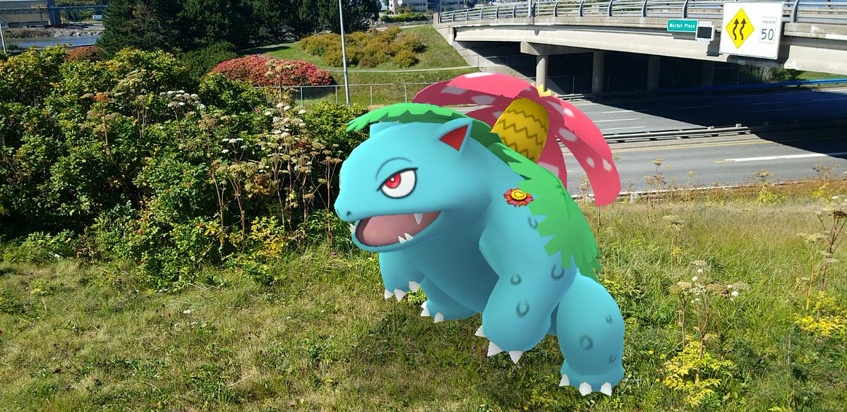 With Sprout the  #Venusaur being added to our Best  #PokemonGOBuddy club, I now have 2 of the original 3 Kanto starters (fully evolved) wearing their  #PokemonGOBestBuddy ribbons. Blaze the Charizard is our next focus, which should be soon! #PokemonGO  #GOSnapshot  #PokemonGOARplus