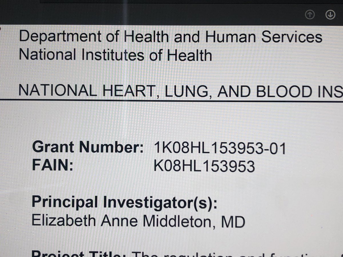 Matthew Rondina tweet media