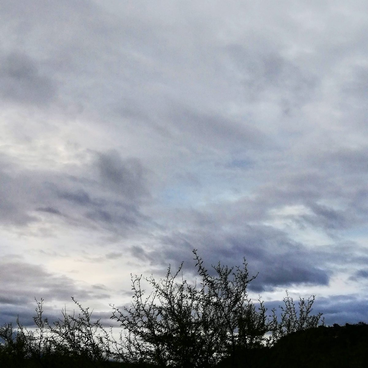 Ed_Hoover's tweet photo. ... davanti alle mie certezze, le ombre che rimangono sul cammino... https://t.co/UIr55WXYnt