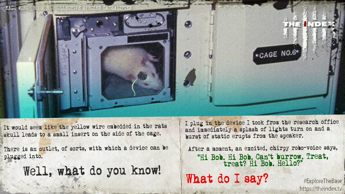 theindexproject's tweet photo. Votes were made for saving the rat, studying the rat and the winner is to see what the rat is connected to!
#ExploreTheBase
#CYOA #transmedia #strangeness #bizarre #weird #mysterious https://t.co/tQ4Gwq5490