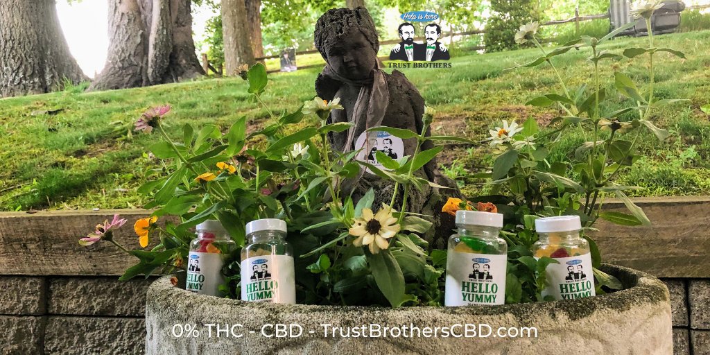 TrustBrosCBD's tweet photo. All-Natural like the outdoors. 
#CBD 
Highest Quality * American Made* 100% Hemp * 0% THC
Broad Spectrum * Cannabinoids * Gluten Free * Organic * Vegan * NON-GMO

40% OFF
Code: FALL40
*excludes sale items
https://t.co/Wbu7zMoWIf https://t.co/eatF0e7WAK