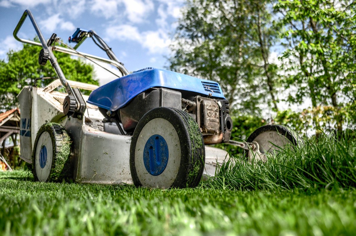 Peterborough_MG's tweet photo. Continuing the #lawn conversation from last week, MJ Pilgrim explores how to incorporate #clover on your property. #lesswater #lessfertilizer #lessweeding #saygreenallsummer #requireslittleornomowing #lotsofbees @PtboHortSoc https://t.co/QTKLrtdx9A https://t.co/Ll7DWScVFv