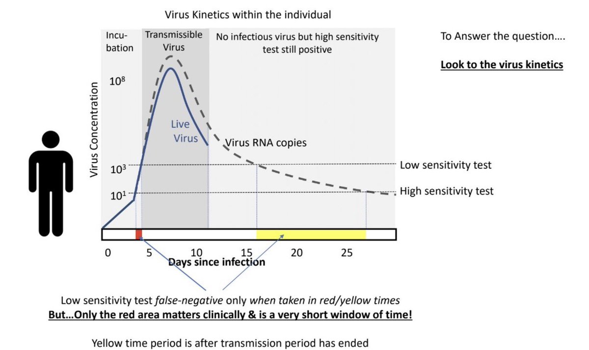 XavierAbadMdG's tweet photo. que és aquesta. La tesi és que la #qRTPCR ens dona "massa" positius, per la seva gran sensibilitat i (bona) part dels positius moleculars acaben sent negatius infecciosos. En canvi els test ràpids són menys sensibles però tenen com a diana antigens/proteines del virus q estan... https://t.co/3keY02K2BC