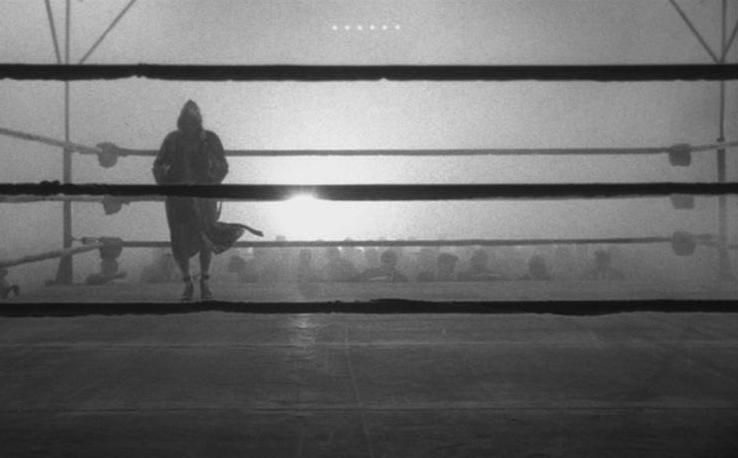 mrRuimy's tweet photo. Deeply saddened to hear the loss of indisputably great Cinematographer Michael Chapman. Chapman’s work in RAGING BULL is legendary - his use of black-and-white was, and still remains, the definitive post-color statement of the medium. https://t.co/ZiI8v9jCXP