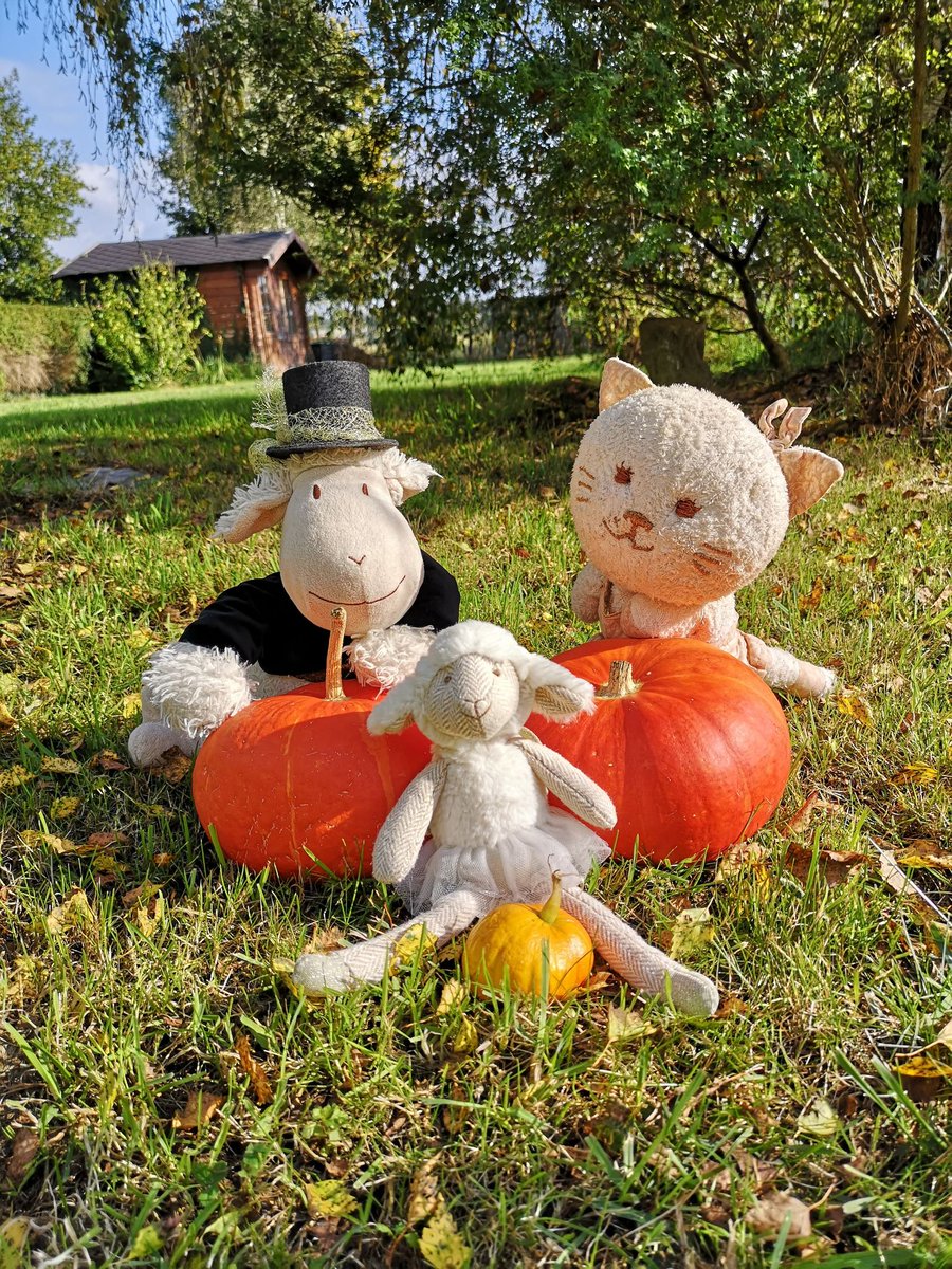 Psyché Ophiuchus tweet media