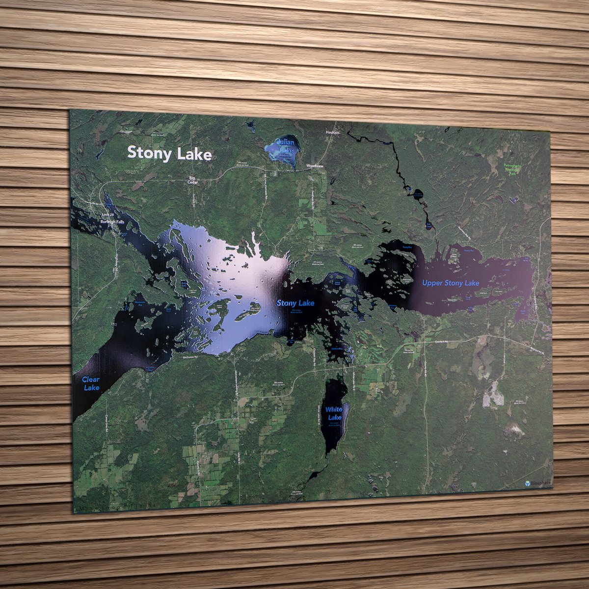 Biosphere Maps tweet media