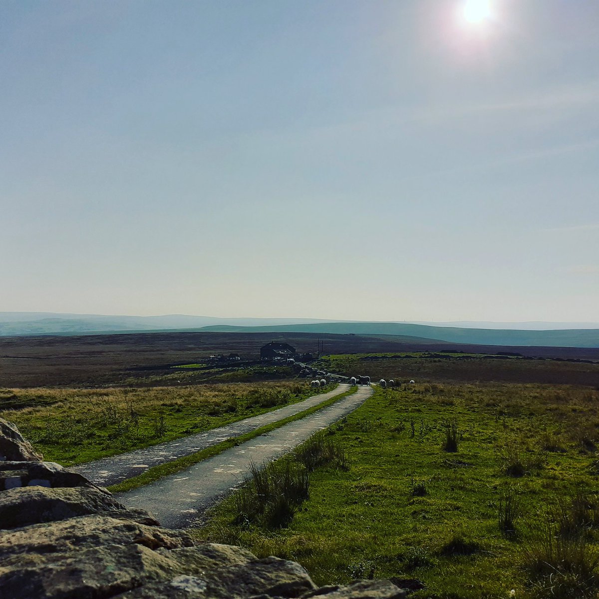 SonjaKielty's tweet photo. Usual road closed, gorgeous day for it.☀️🌞 #hebdentohaworth #meandsheep 🐑 #visitbradford #visithebdenbridge #visitcalderdale #visityorkshire https://t.co/OhIH6hqWuJ