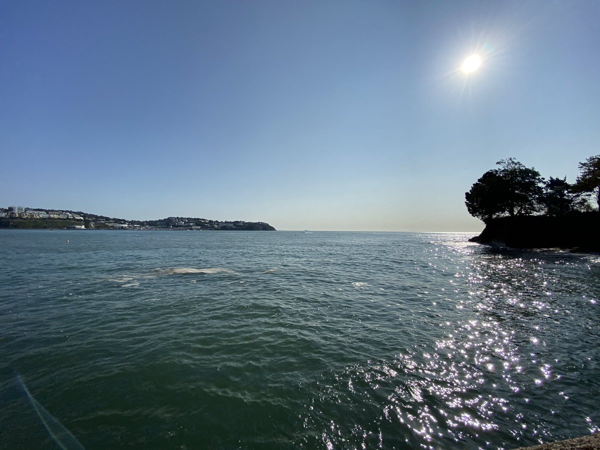 KikiChoda tweet media