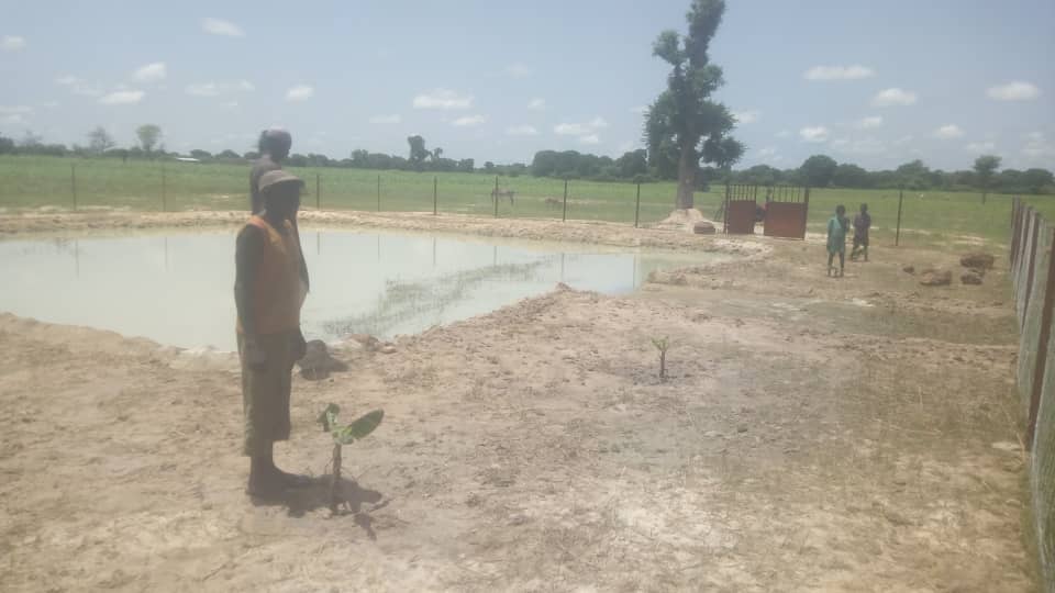 ONG_Amedd's tweet photo. Mise en valeur du #BCER(Bassins des eaux de ruissèlement) par la plantation d’arbre par M. Madou Coumaré bénéficiaire de l’Organisation Paysanne des producteurs de fonio à N'Gara cercle de Ségou. #AMEDD et @Geres_fr ont réalisé ces bassins dans le cadre du projet #EE(#LuxDev)... https://t.co/DBN1ko0P7N