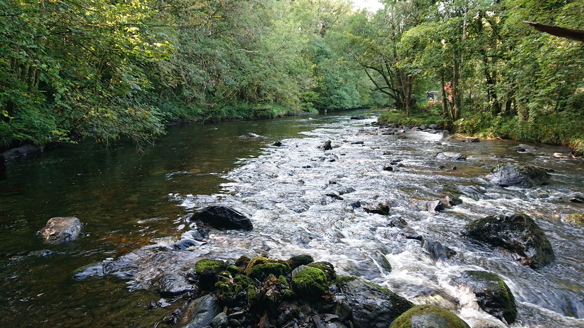 Oly Lowe (@olylowe) on Twitter photo You've got to love river restoration. Before & After photos of a highly satisfying and productive day on the #LIFEDeeRiver project today 💚
<a href="/LIFEAfonDyfrdwy/">LIFE Dee River</a> <a href="/NatResWales/">Cyfoeth Naturiol Cymru | Natural Resources Wales</a> <a href="/WelshDeeTrust/">Welsh Dee Trust</a> <a href="/AfonyddCymru/">Afonydd Cymru: The Rivers Trust of Wales</a> <a href="/The_RRC/">The RRC</a> <a href="/SianWilliamsNRW/">Siân Williams</a> <a href="/WildTroutTrust/">The Wild Trout Trust</a> <a href="/theriverstrust/">The Rivers Trust</a> <a href="/BSG_Geomorph/">BSG Geomorphology</a> You've got to love river restoration. Before & After photos of a highly satisfying and productive day on the #LIFEDeeRiver project today 💚
<a href="/LIFEAfonDyfrdwy/">LIFE Dee River</a> <a href="/NatResWales/">Cyfoeth Naturiol Cymru | Natural Resources Wales</a> <a href="/WelshDeeTrust/">Welsh Dee Trust</a> <a href="/AfonyddCymru/">Afonydd Cymru: The Rivers Trust of Wales</a> <a href="/The_RRC/">The RRC</a> <a href="/SianWilliamsNRW/">Siân Williams</a> <a href="/WildTroutTrust/">The Wild Trout Trust</a> <a href="/theriverstrust/">The Rivers Trust</a> <a href="/BSG_Geomorph/">BSG Geomorphology</a>