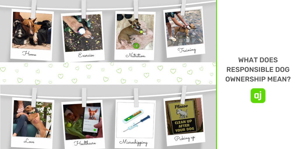 Actijoy (@actijoy) on Twitter photo 