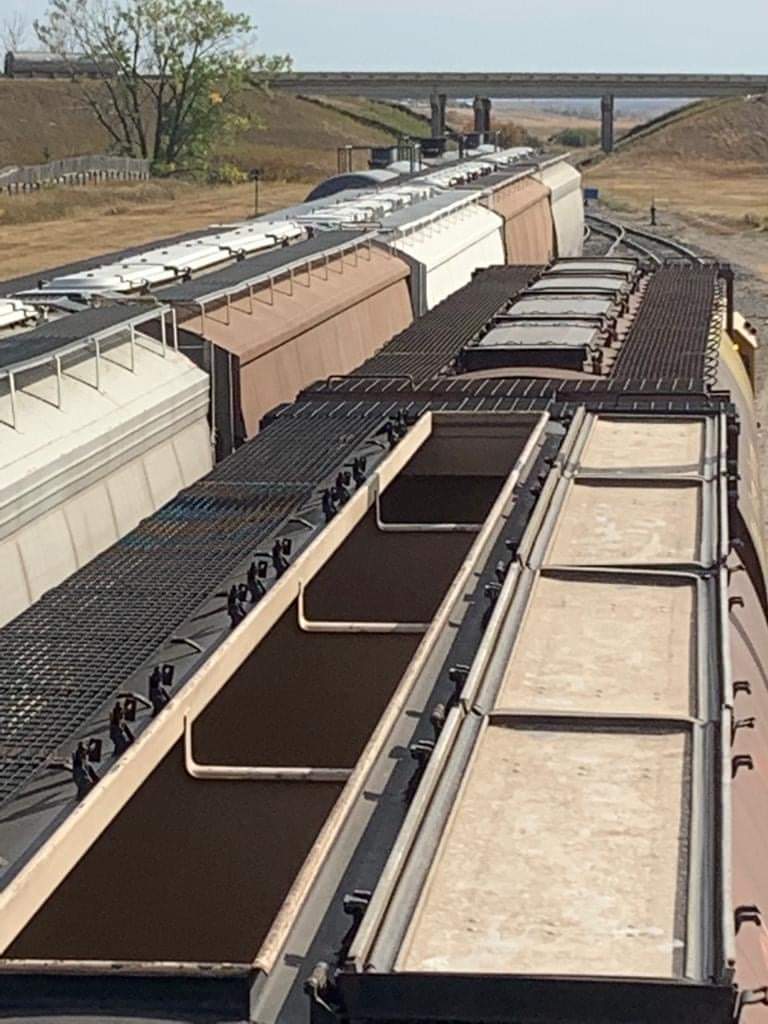 For the first time Agrocorp Moose Jaw is shipping 50 cars! This is a great achievement and is a testament to the hard work put in by our plant operations and logistics teams. Big thanks to our partner CN rail for making it happen too.

#Agrocorp #cnrail #supplychain