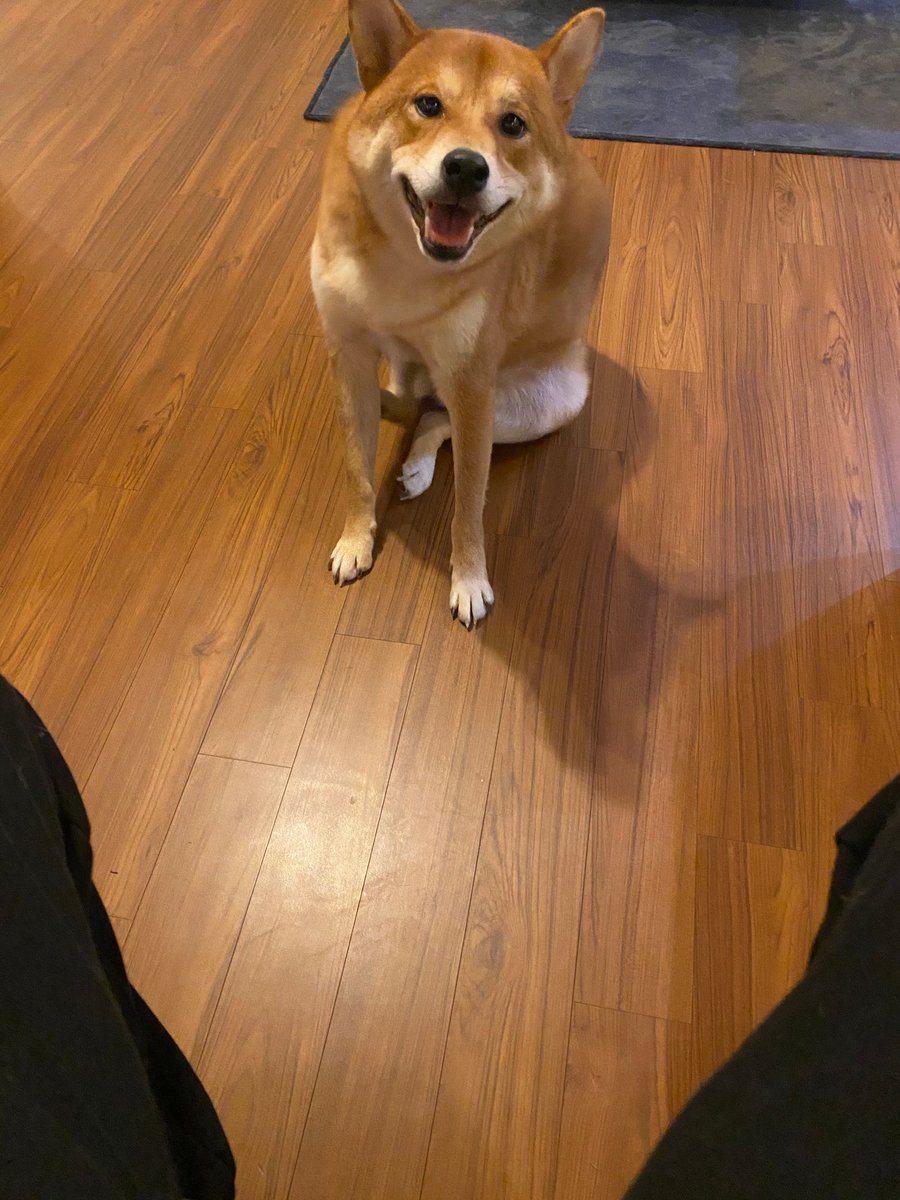 good_kwak's tweet photo. [WEVERSE NUEST] 2020.09.21 #백호 

#백호: Noah....

__________
Respuesta en publicación de Baekho

#아론: Jajaja mi hijo~~~
 
#뉴이스트 #NUEST #아론 #백호 

Ingles: nuweverse
Español: Baekly https://t.co/Emm3JIROhW