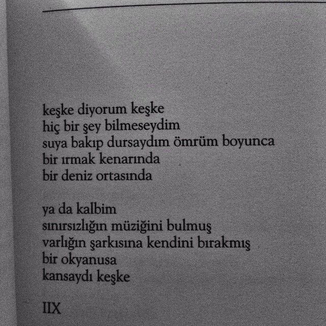 Neler Oluyor Türkiye (@neleroluyortr_) on Twitter photo 