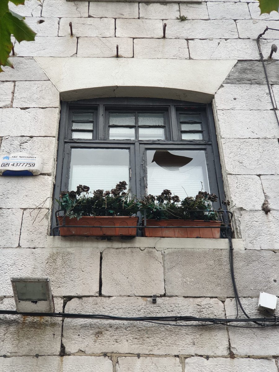 the broken window & dying plants says so much, another beautiful building lying empty in Cork city, no 98 on thread should be someone's home, work space, art hub, design & maker space #meanwhileuse  #local  #economy  #regeneration  #not1home