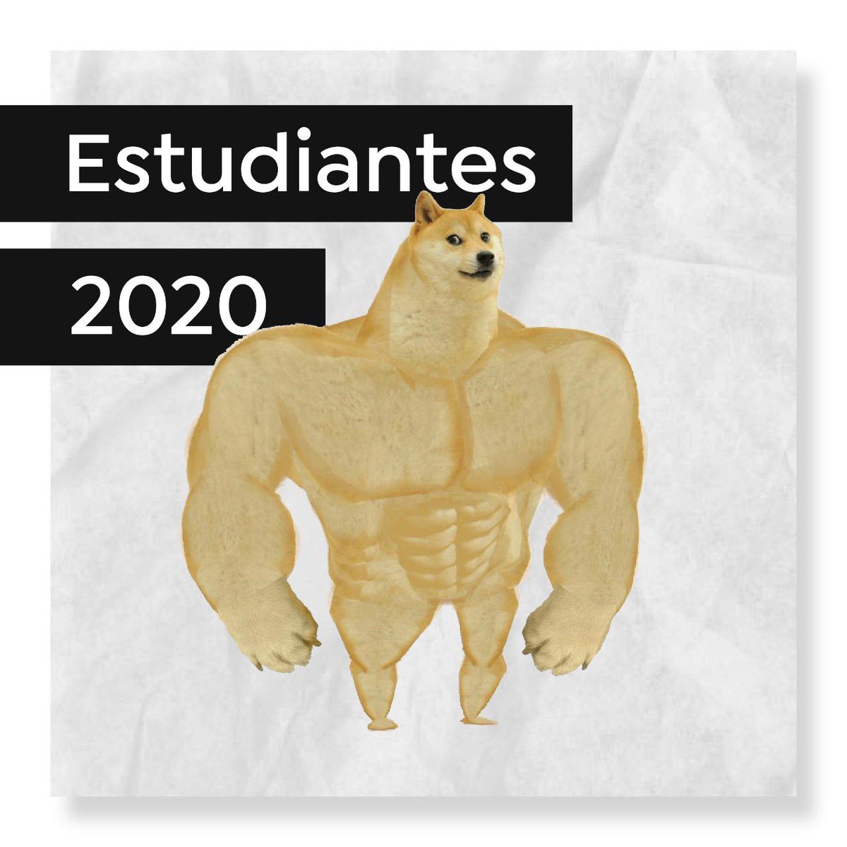 proargentina's tweet image. FELIZ DÍA ESTUDIANTES

En este año más duro que el Nokia 1100, saludamos a las y los pibes que sostienen la cursada como se puede, y exigimos al gobierno nacional soluciones para volver a la presencialidad con los cuidados necesarios.