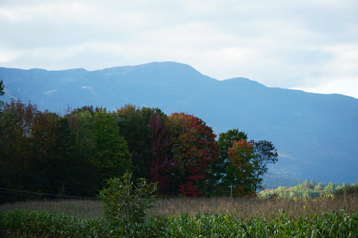 gostowe's tweet photo. It's almost fall! What's your favorite activity for viewing the colorful foliage? https://t.co/VQsnoBMh2l #stowefoliage #fallintostowe #gostowe #stowevt #thisisvt #vt #itstimeforvermont #vermont #fallinvt #fallfoliage #leafpeeping #stowerecpath #mtmansfield #stowescenes https://t.co/O9Jo3aRQDc