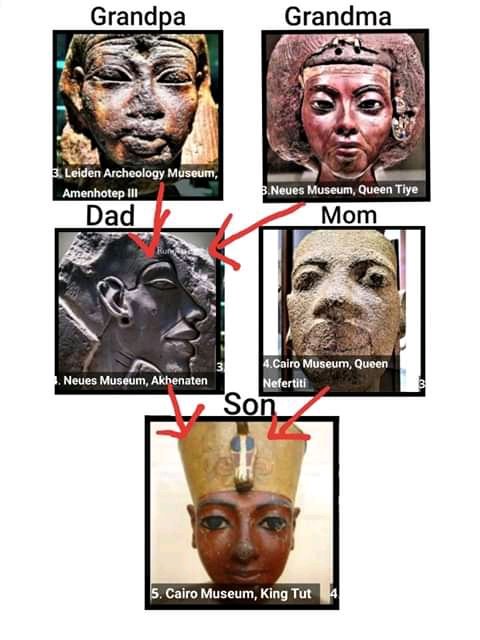 AncientBlackHi2's tweet photo. Sometimes you just have to laugh at how they keep trying to whitewash history. 😂😂  They  deny the undeniable.. these people are just funny sometimes 😂 https://t.co/OwStCyrx7K