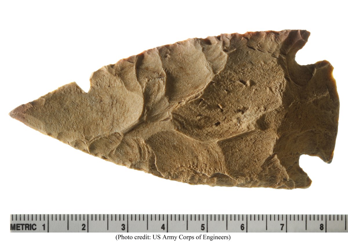 archaeology_aia's tweet photo. Today’s #artifact comes from the @KC_USACE Smithville Lake. Processed by the #VeteransCurationProgram, this large prehistoric point has corner notches and a carefully worked flaking pattern, though a portion of the point is gone, possibly due to exposure. #IADVCPArtifact #IAD2020 https://t.co/3BUTK5Sv1W