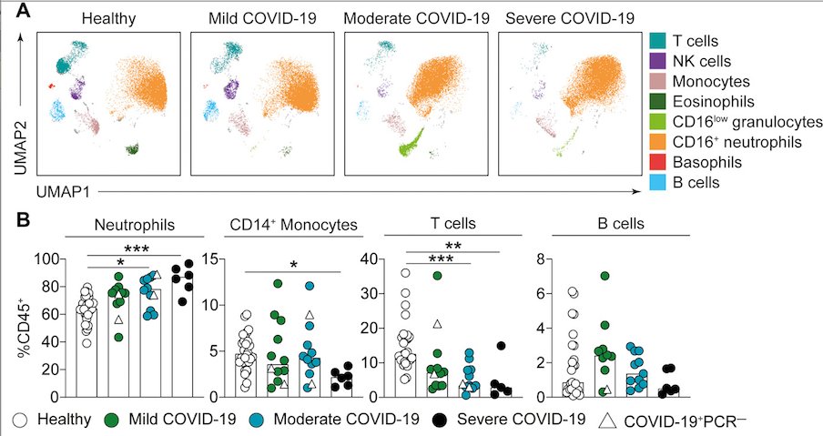 mmw_lmw's tweet photo. Longitudinal #Immune_Profiling associated with #COVID19 | reveals key #MyeloidSignatures | Tracy Hussell @OfficialUoM @SciImmunology https://t.co/WQgtT8ryBc https://t.co/ypkrrOgsXC
