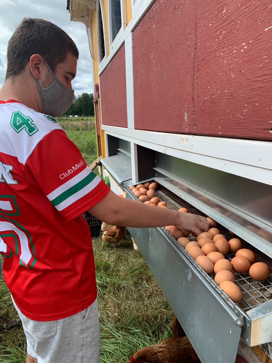 TCFDiscovery's tweet photo. When they’re not in the classroom, our students are busy w/vocational work & physical exercise – like collecting eggs, working w/our goats, & hiking! We’ve been so grateful for this new school year & for the picture perfect weather! #TCFDStrong #WhatHappensHereMattersEverywhere https://t.co/HBVN6UtBdk