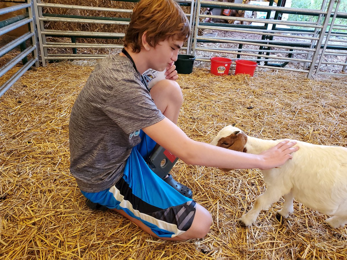 TCFDiscovery's tweet photo. When they’re not in the classroom, our students are busy w/vocational work & physical exercise – like collecting eggs, working w/our goats, & hiking! We’ve been so grateful for this new school year & for the picture perfect weather! #TCFDStrong #WhatHappensHereMattersEverywhere https://t.co/HBVN6UtBdk