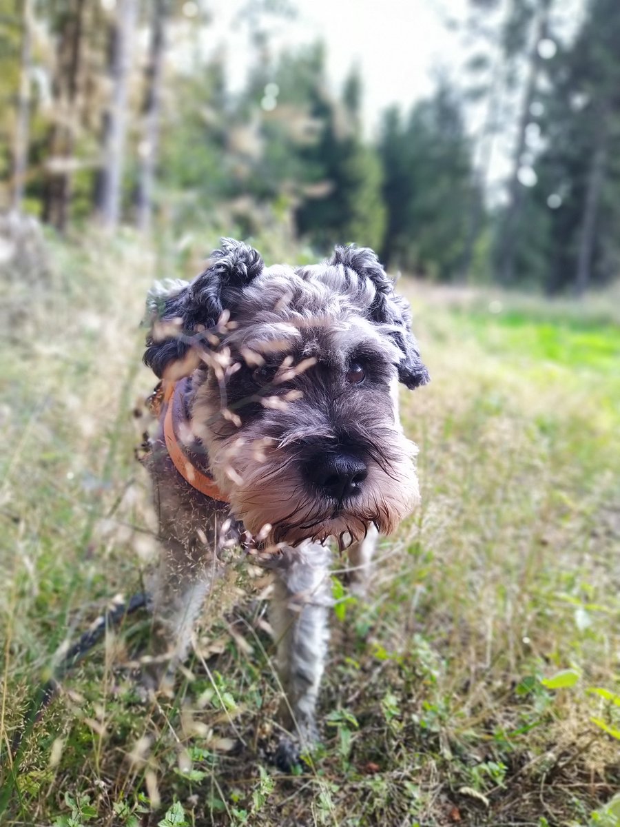 Anne Fuchs tweet media