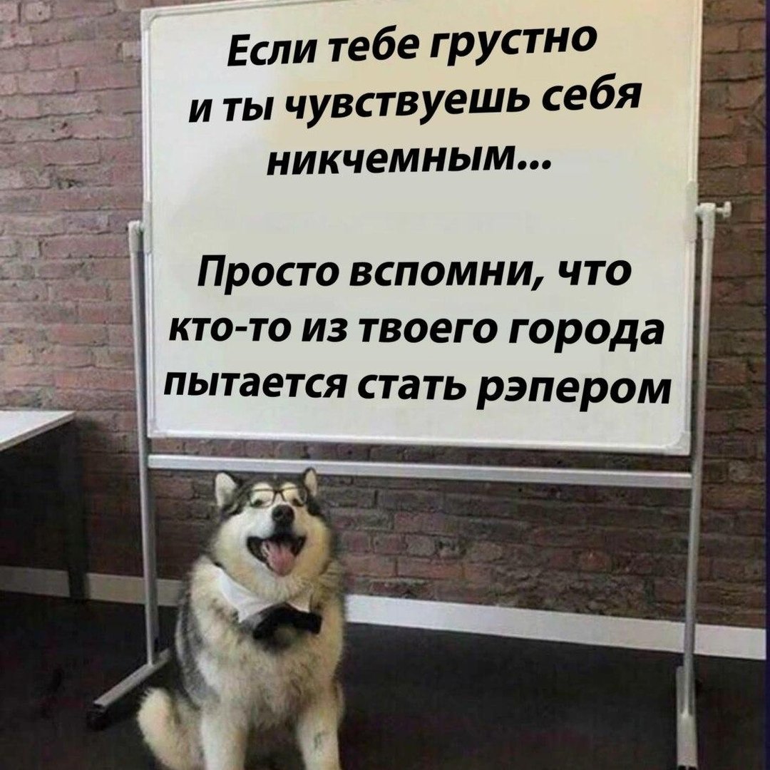 Ска, аж хрюкнула