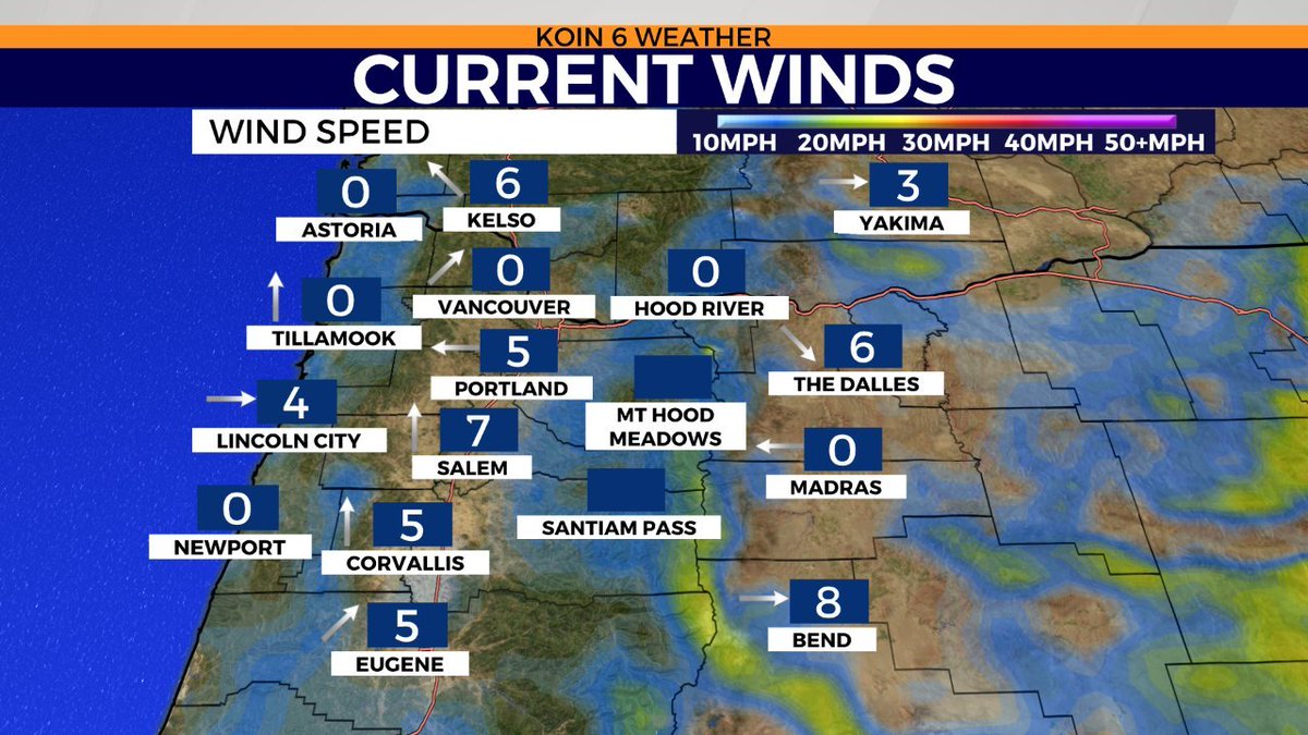 Kelley Bayern tweet media