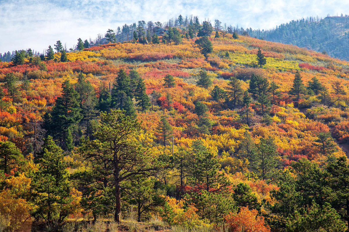 KOAA News5 tweet media