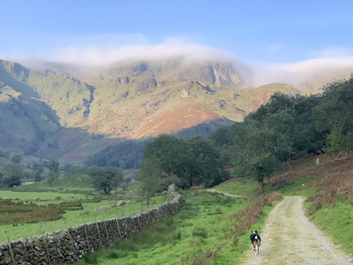 Some beautiful light on our walk into Dovedale this morning. Our project is going well, especially with weather like this! @NT_TheNorth
