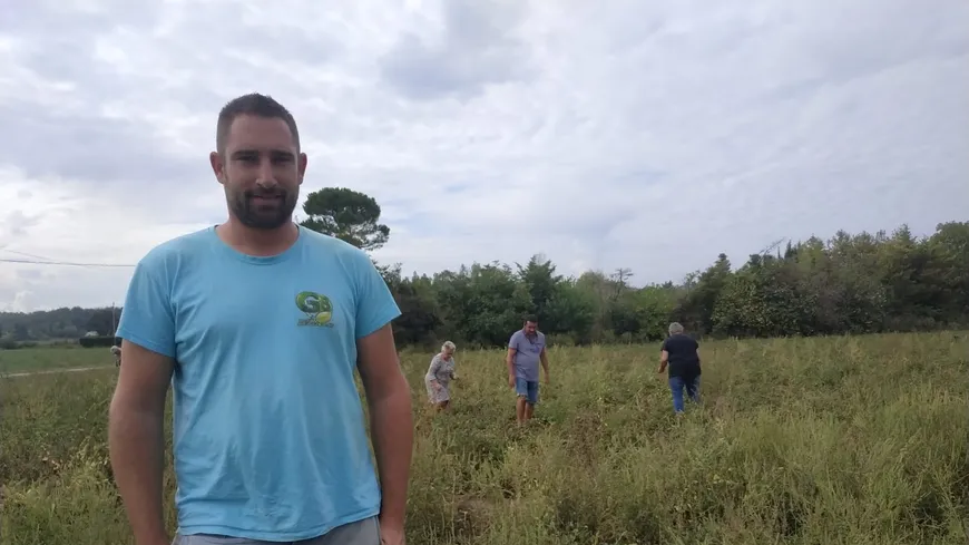 Drôme : jusqu'à 1 500 personnes sont venues récupérer des tomates gratuites dans le champ de <a href="/gaelblard/">Gaël Blard agriculteur bio</a> à Upie francebleu.fr/infos/insolite…
