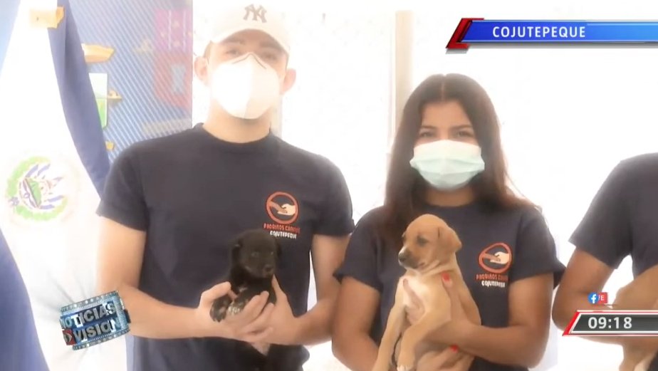 noticias4vision's tweet photo. ¡No compres uno de raza, adopta uno sin casa! Cada vez son más las personas que se preocupan por los animales sin hogar. @jenniferhdzTCS nos cuenta la iniciativa que se implementará en un municipio de Cuscatlán.  #N4V 

https://t.co/2k3wjAYeFL https://t.co/KF4XCE3V1f