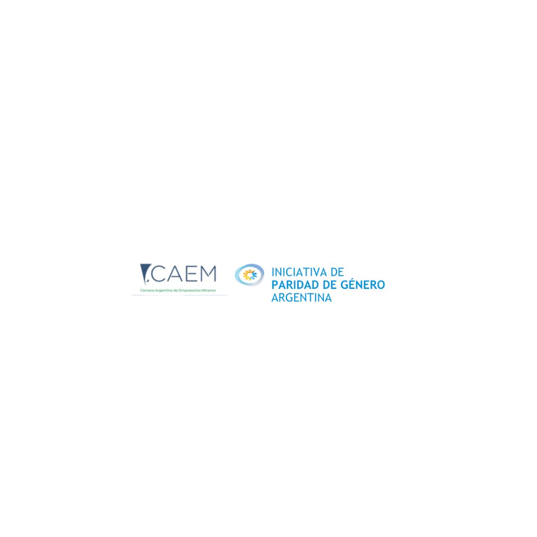 IPG junto a <a href="/camaramineraarg/">CAEM - Cámara Argentina de Empresas Mineras</a> y la Sec de Minería de Nación realizaron un evento donde se presentó IPG a los asociados de la Cámara para impulsar el compromiso hacia empresas más igualitarias en el sector minero. Esperamos que más empresas adhieran porque #SinBrechaNoHayLimite