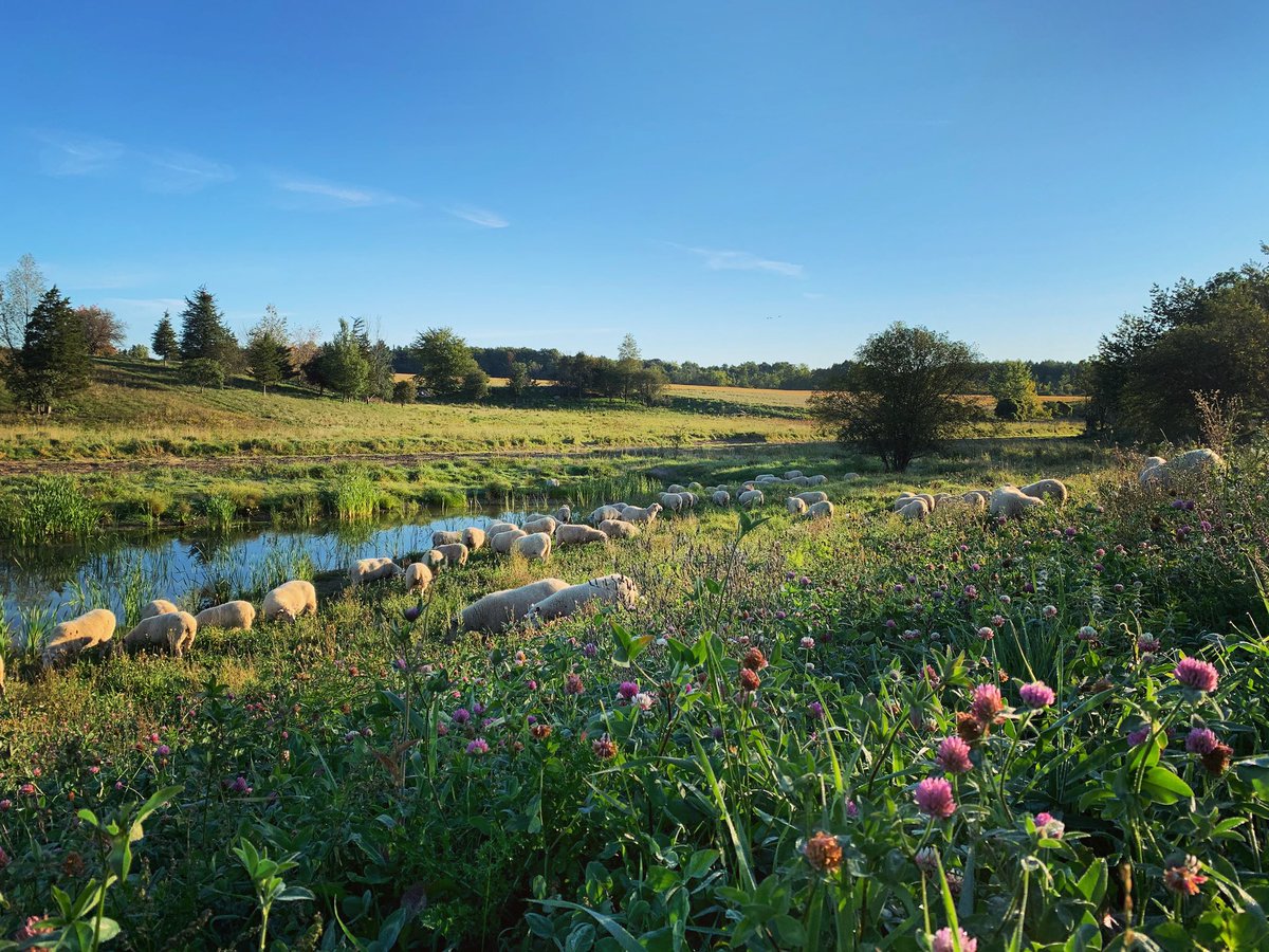 Carrie Woolley tweet media