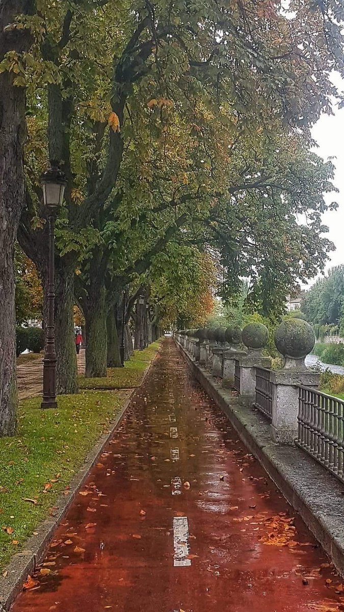 Burgosenelmundo's tweet photo. #MascarillaObligatoria #UsoCorrectoMascarilla #HigieneManos
#DistanciaDeSeguridad #Responsabilidad #Burgosenelmundo #Burgos
Ya huele a Otoño en #Burgos
por Ana Pérez https://t.co/tDlgKYUirz