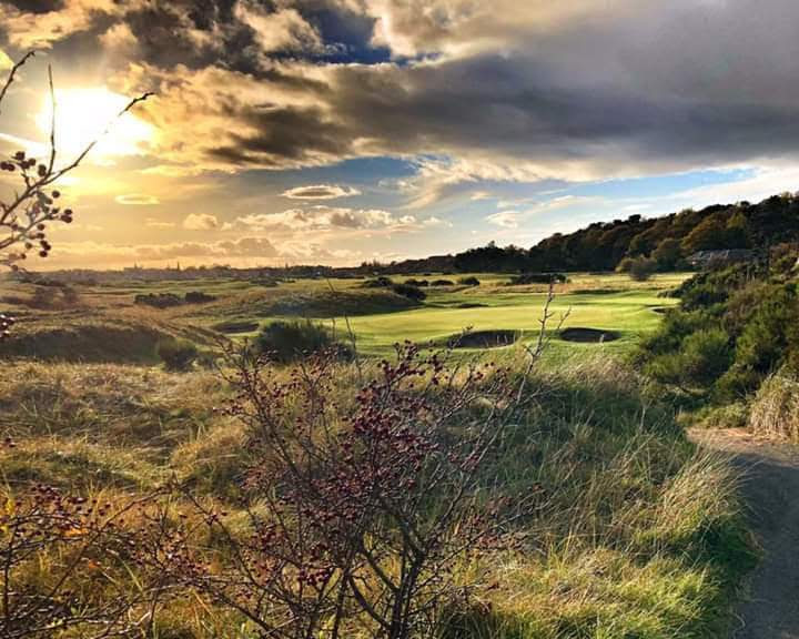 brian harkins (bahmamba) Twitter